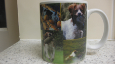 vB_ID:1420