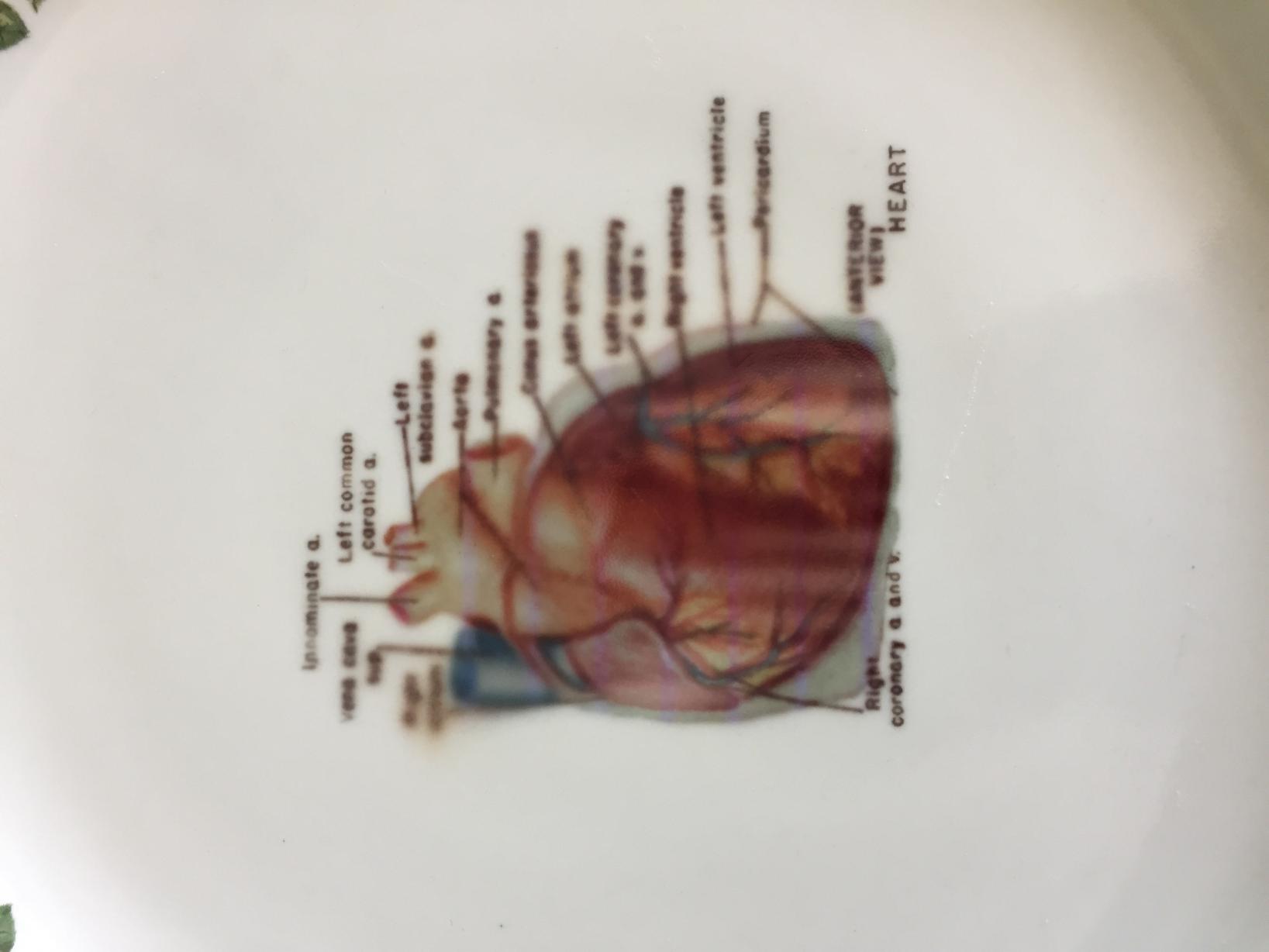 vB_ID:6735