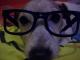 mjcb's Avatar